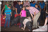 LCFAIR15-2375.jpg