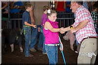 LCFAIR15-2378.jpg