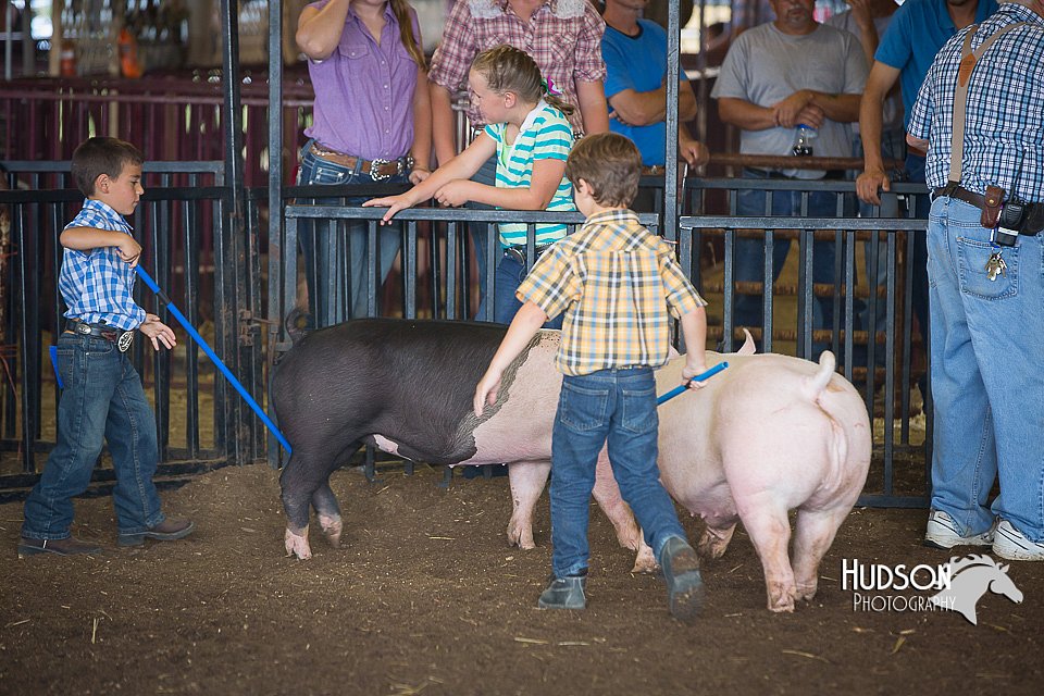 LCFAIR15-2386.jpg
