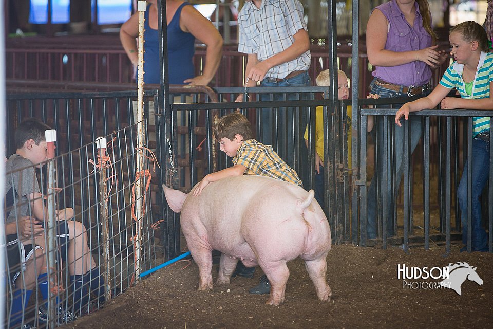 LCFAIR15-2391.jpg
