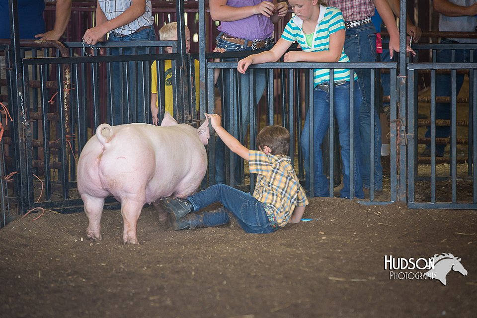 LCFAIR15-2392.jpg