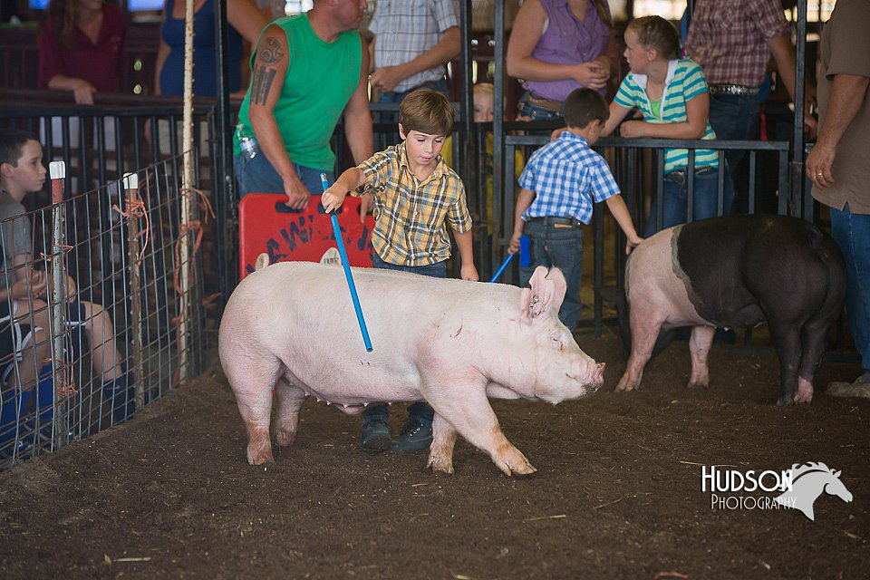 LCFAIR15-2393.jpg