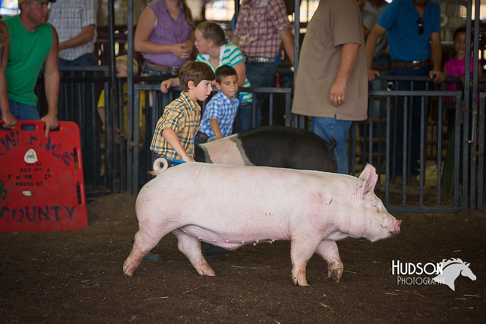LCFAIR15-2394.jpg