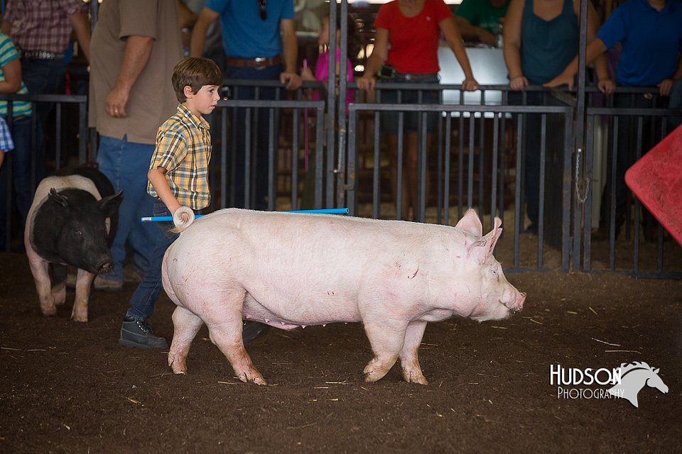 LCFAIR15-2395.jpg