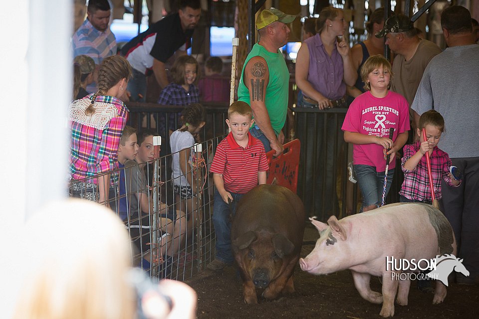 LCFAIR15-2397.jpg