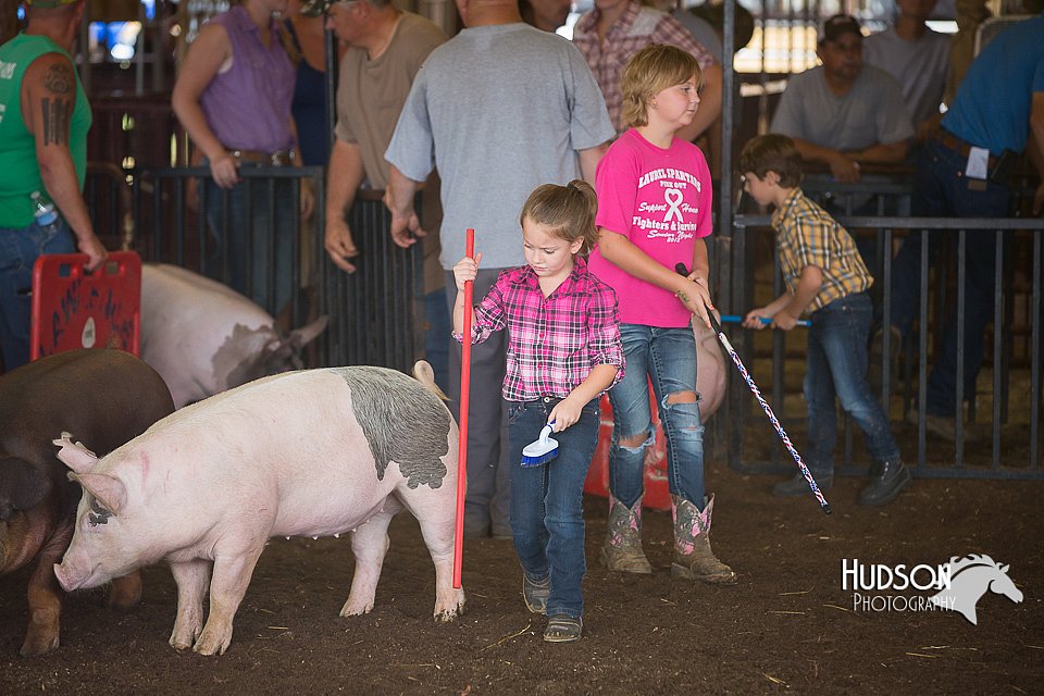 LCFAIR15-2398.jpg
