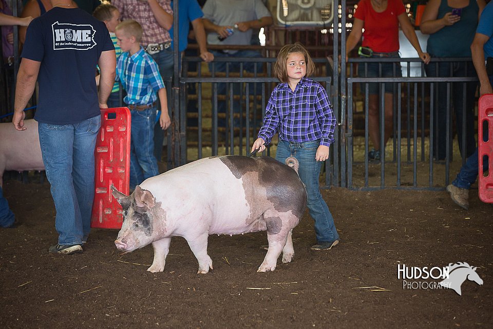 LCFAIR15-2408.jpg