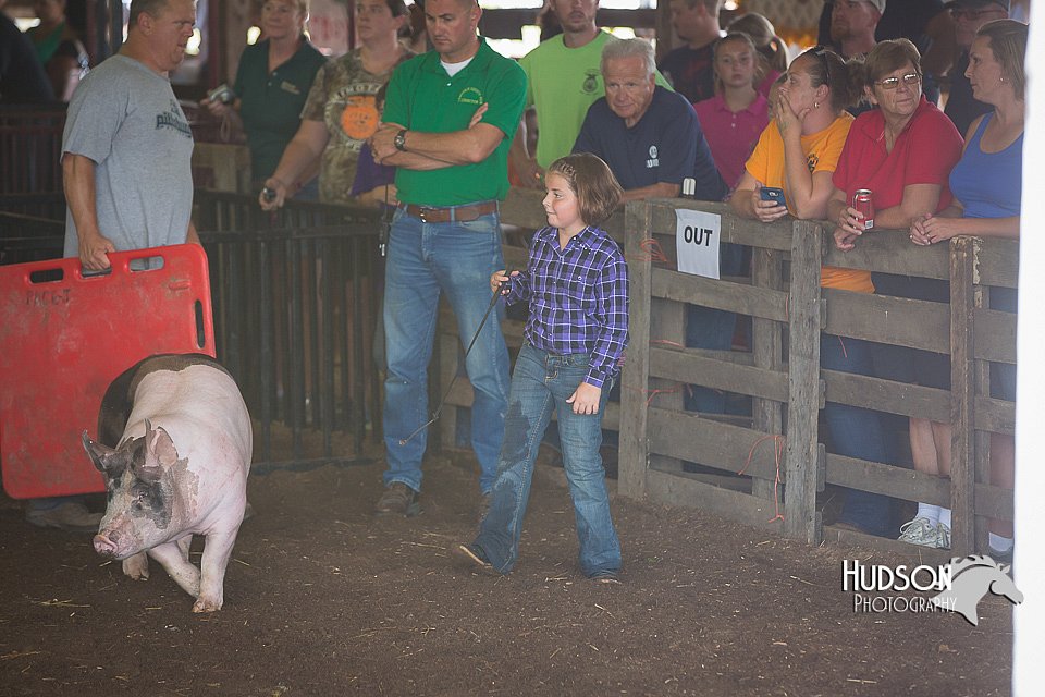 LCFAIR15-2409.jpg