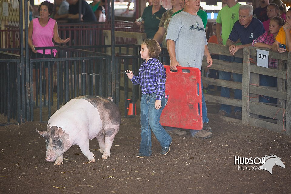 LCFAIR15-2410.jpg