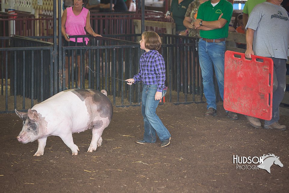 LCFAIR15-2411.jpg