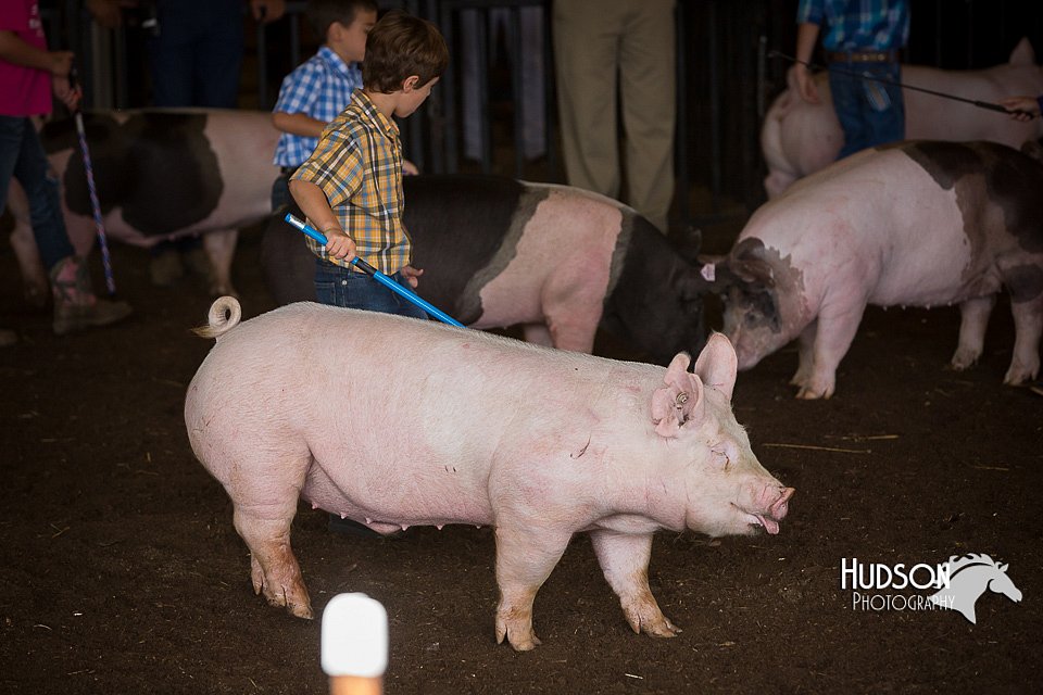 LCFAIR15-2412.jpg