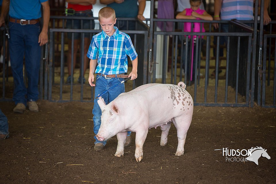 LCFAIR15-2414.jpg