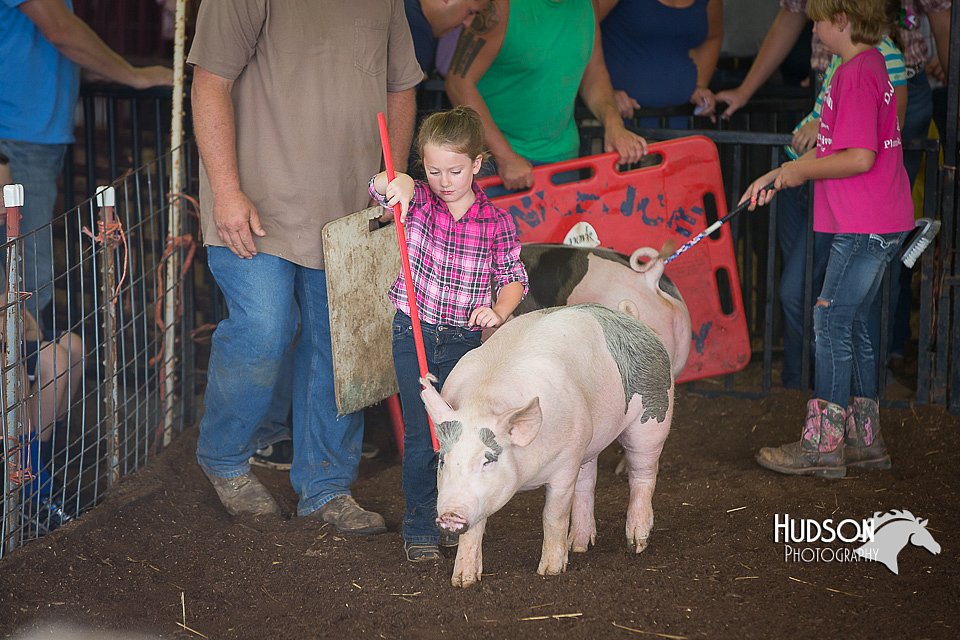 LCFAIR15-2417.jpg