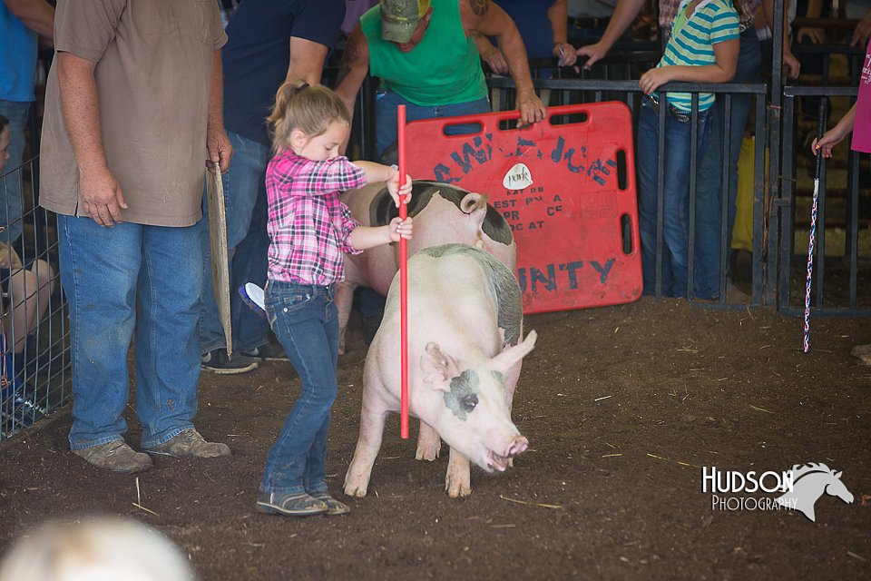 LCFAIR15-2419.jpg