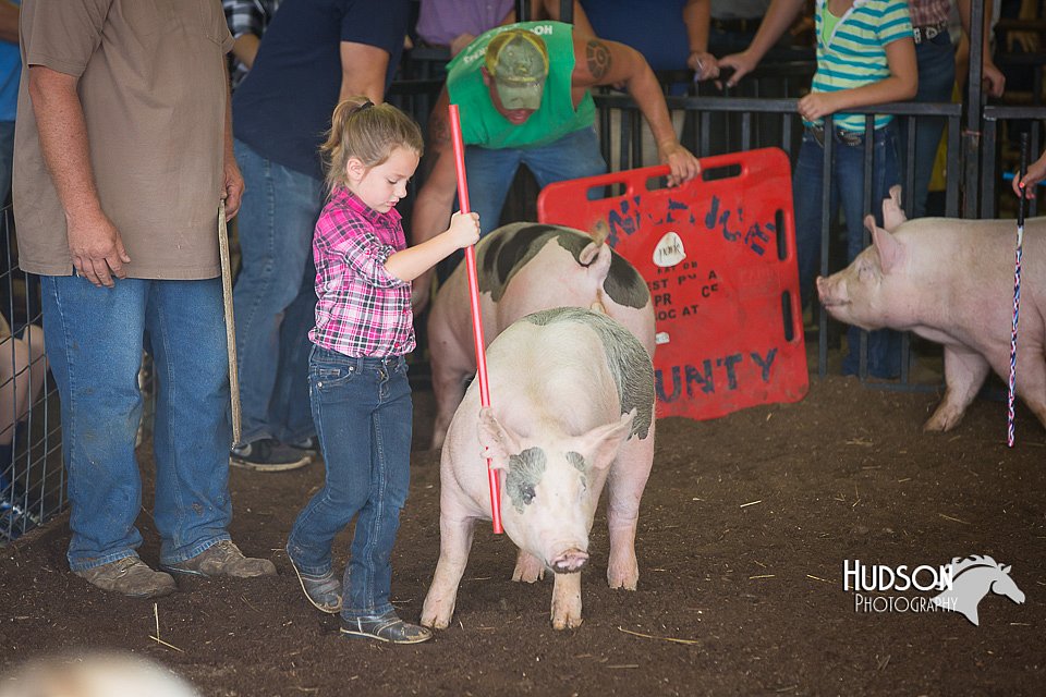 LCFAIR15-2420.jpg