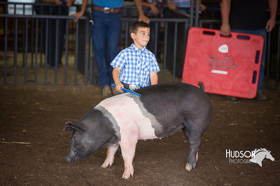 LCFAIR15-2422.jpg