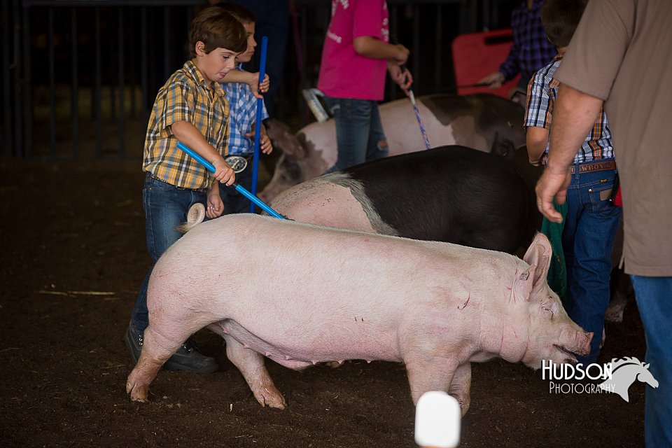 LCFAIR15-2424.jpg