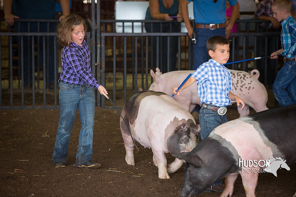 LCFAIR15-2425.jpg