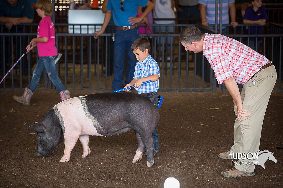 LCFAIR15-2427.jpg
