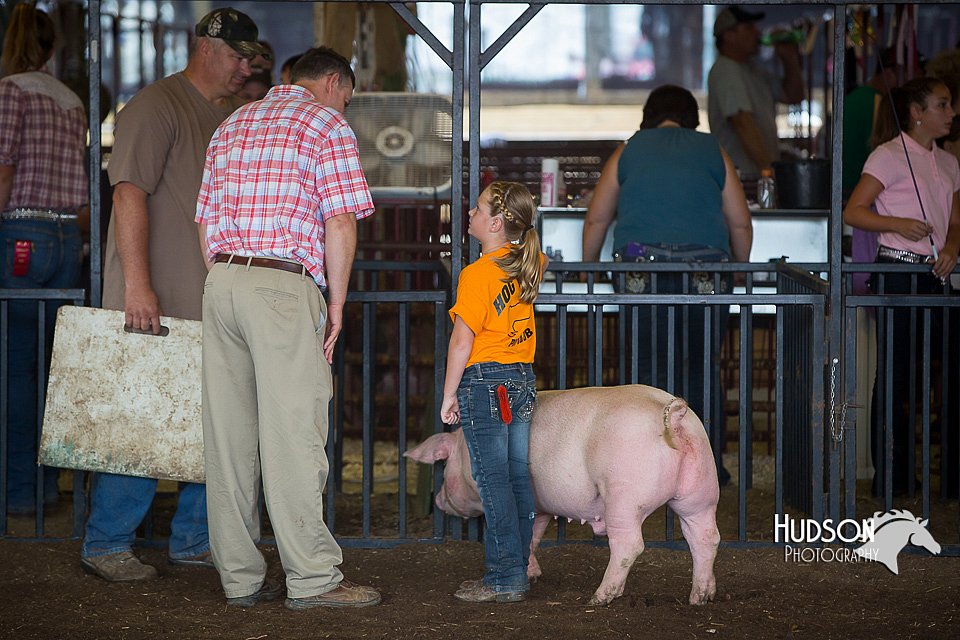 LCFAIR15-2431.jpg