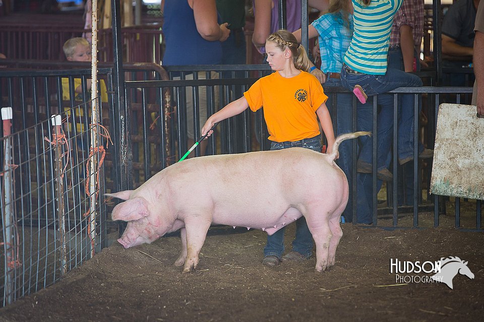 LCFAIR15-2433.jpg