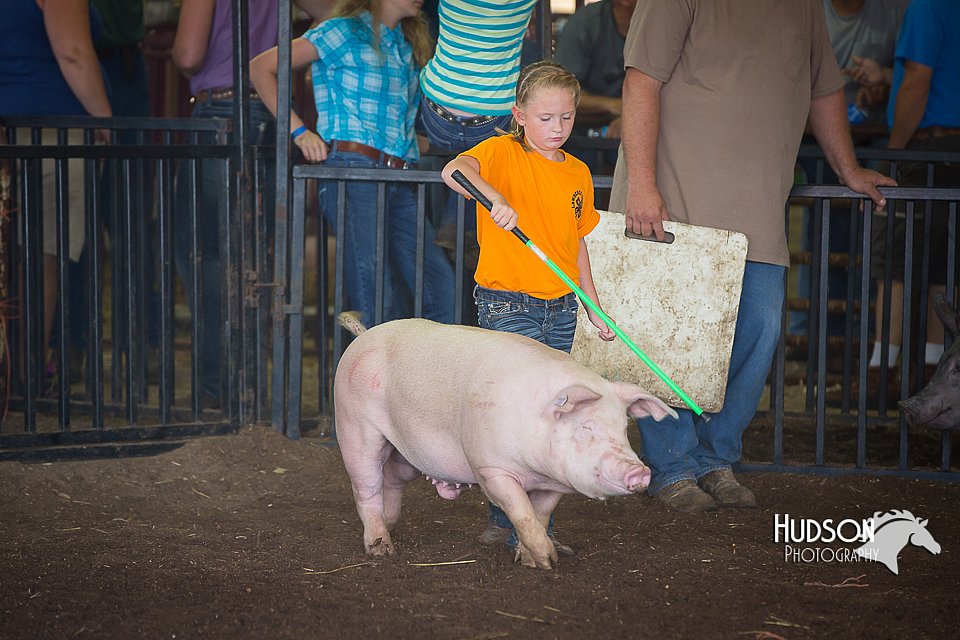 LCFAIR15-2434.jpg