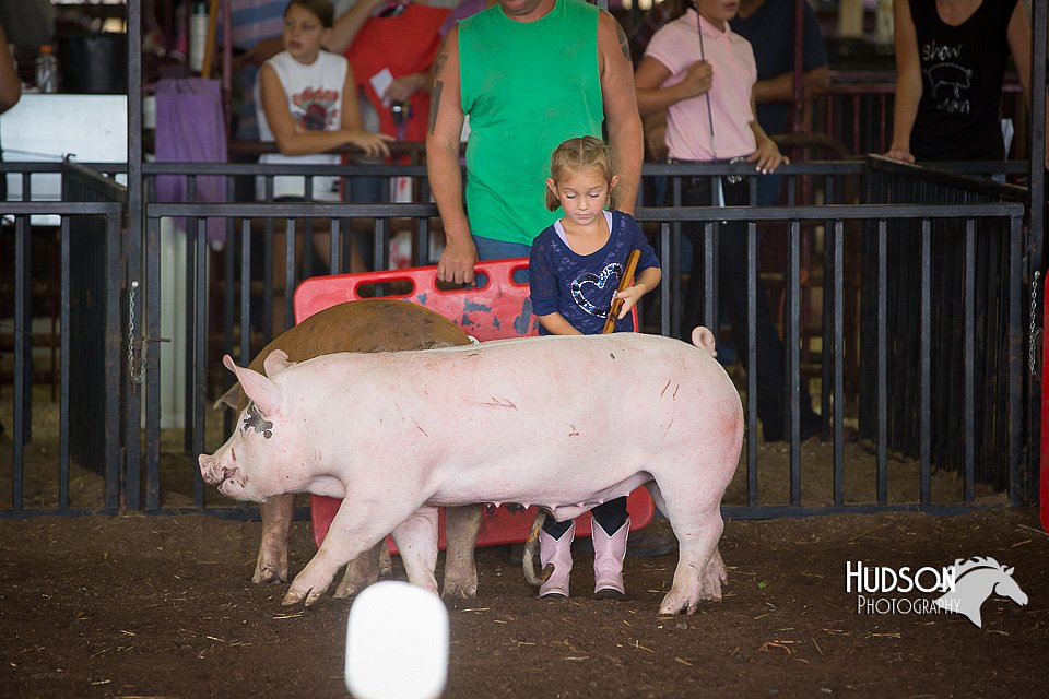 LCFAIR15-2437.jpg