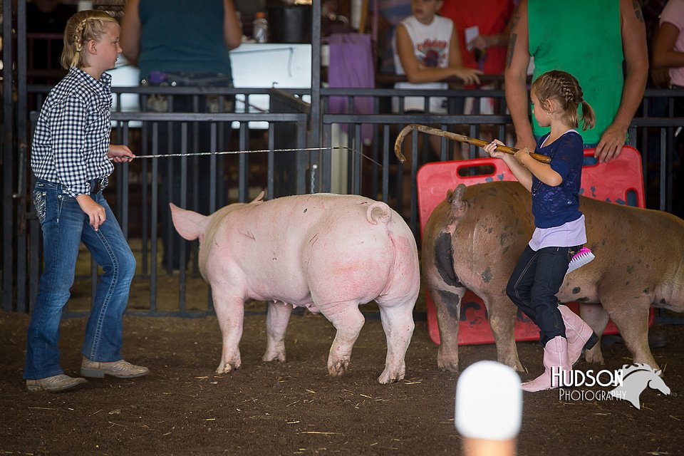 LCFAIR15-2438.jpg