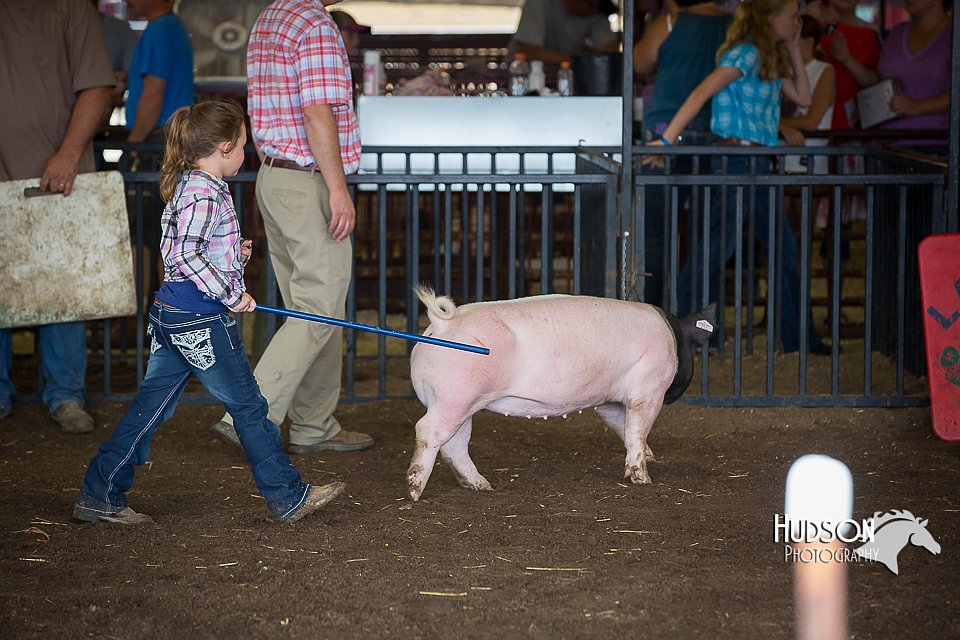 LCFAIR15-2440.jpg