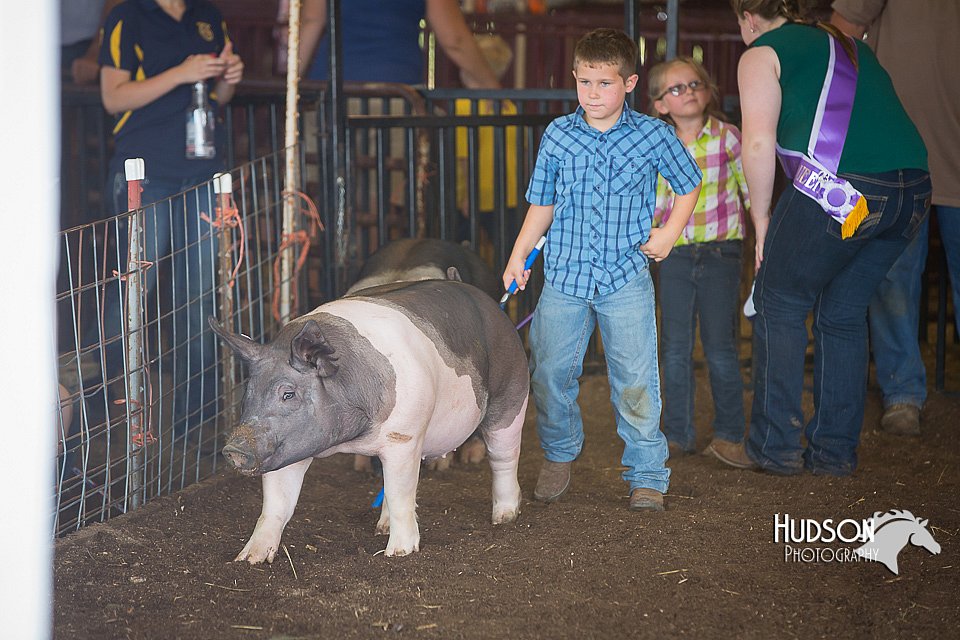 LCFAIR15-2441.jpg