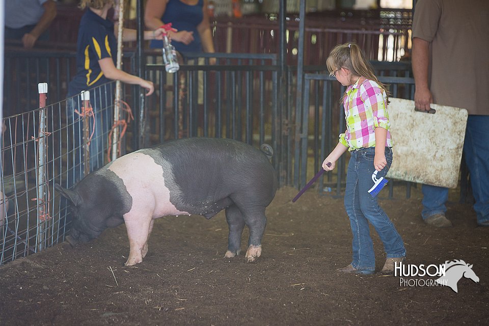 LCFAIR15-2442.jpg