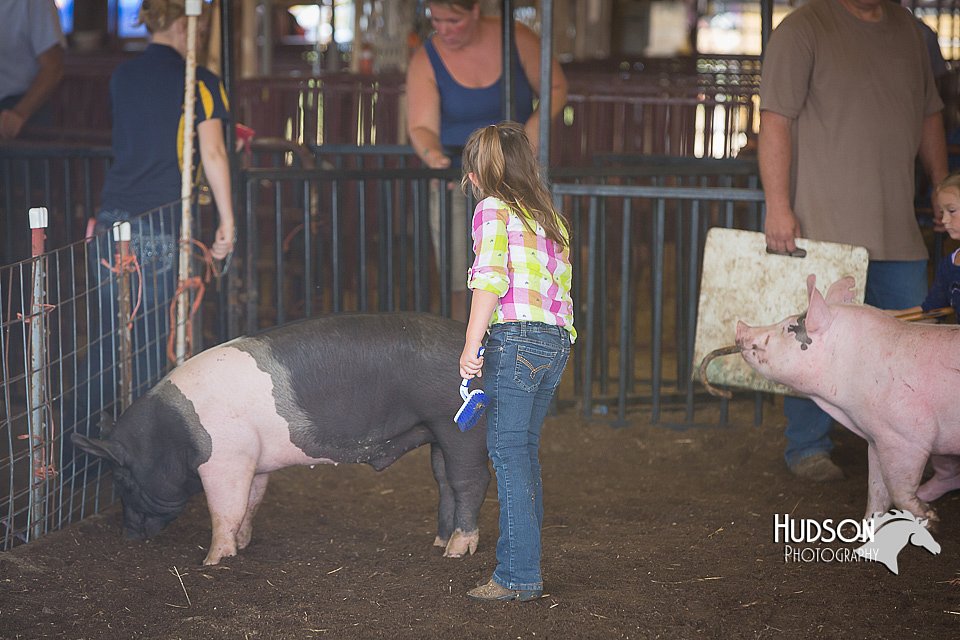 LCFAIR15-2443.jpg