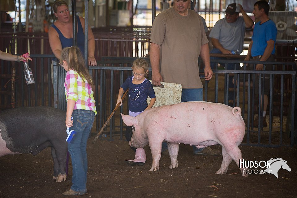 LCFAIR15-2444.jpg