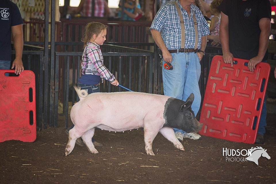LCFAIR15-2445.jpg