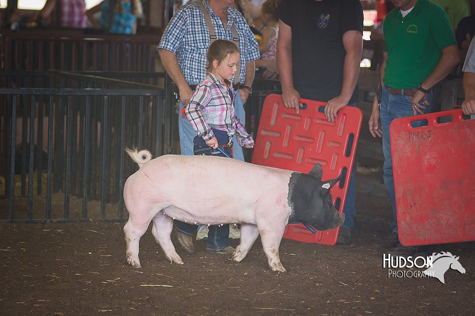 LCFAIR15-2446.jpg