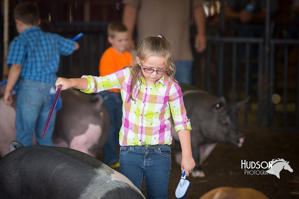 LCFAIR15-2447.jpg