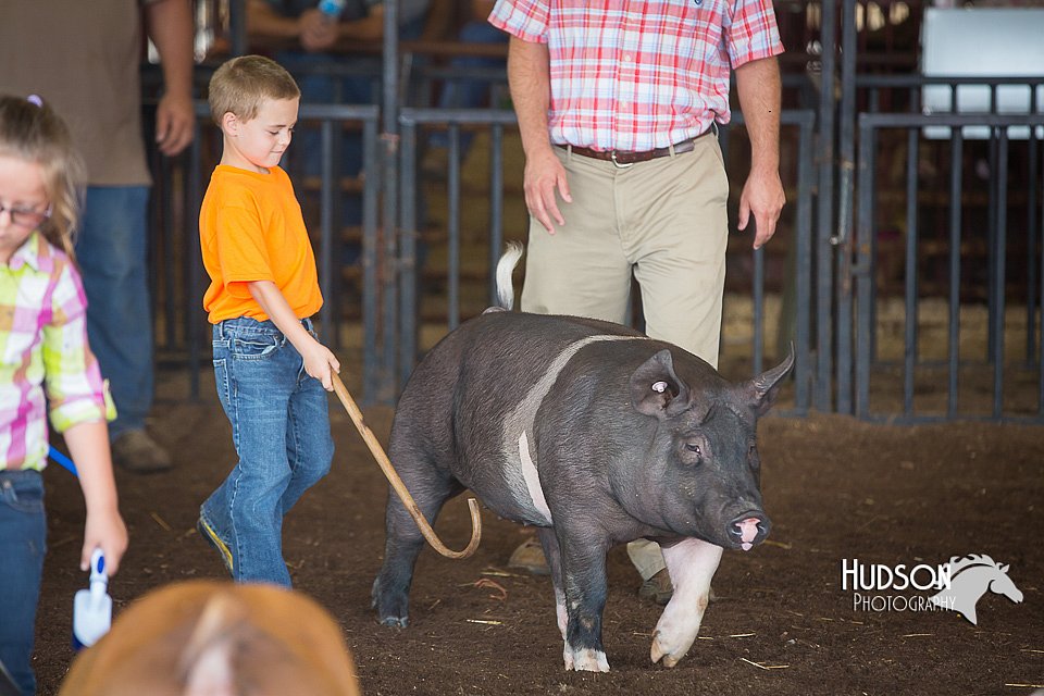 LCFAIR15-2448.jpg