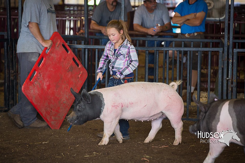 LCFAIR15-2451.jpg