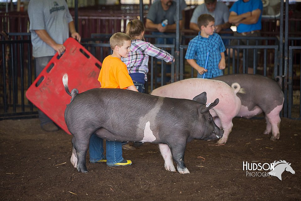 LCFAIR15-2452.jpg