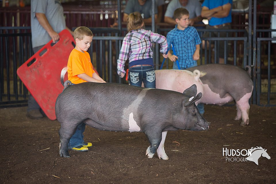 LCFAIR15-2453.jpg