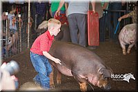 LCFAIR15-2399.jpg