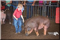 LCFAIR15-2402.jpg