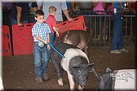 LCFAIR15-2403.jpg
