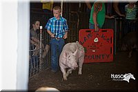 LCFAIR15-2404.jpg