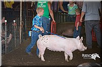 LCFAIR15-2405.jpg