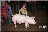 LCFAIR15-2407.jpg
