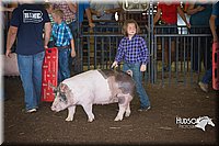 LCFAIR15-2408.jpg