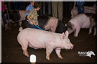 LCFAIR15-2412.jpg