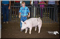 LCFAIR15-2414.jpg