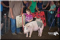 LCFAIR15-2416.jpg